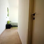 Duca Rooms